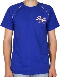 8500-037-33-2-Futbolka-reglan-muzhskaja